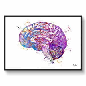Brain (Side View) Anatomy Wall Art Print Watercolour Human Neurology Medical Doctor Office Clinic Framed Painting - Image 5