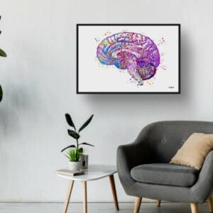 Brain (Side View) Anatomy Wall Art Print Watercolour Human Neurology Medical Doctor Office Clinic Framed Painting - Image 7