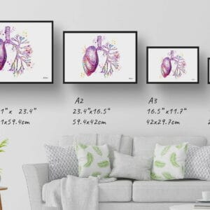 medical splash lungs print size comparison