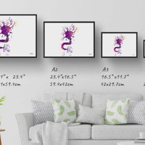 medical splash nerve cell print size comparison