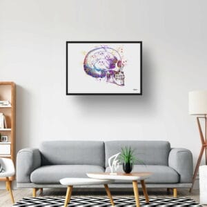 medical splash skull lobby