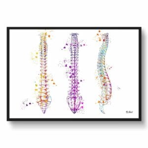 medical splash spine front view
