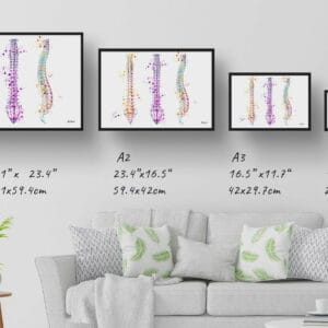 medical splash spine print size comparison