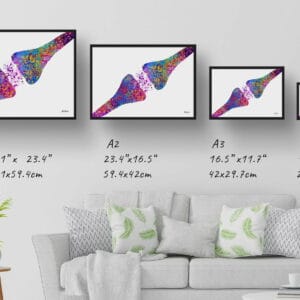 medical splash synapse print size comparison