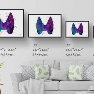 medical splash thyroid print size comparison