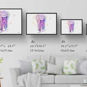 medical splash tooth structure print size comparison