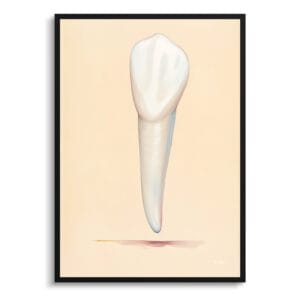 Whimsical Minimalism Light Canine Print - Dentist Wall Art