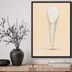 dental whimsical minimalism salmon canine front view lifestyle